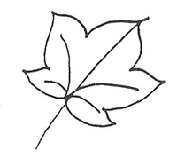 Lobed leaf