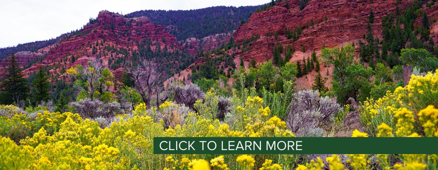 Colorado Master Gardener - Providing trusted, practical education to ...